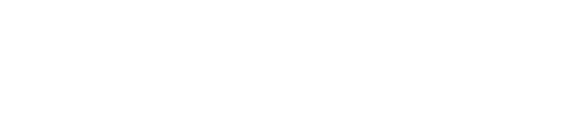 Navis Logo